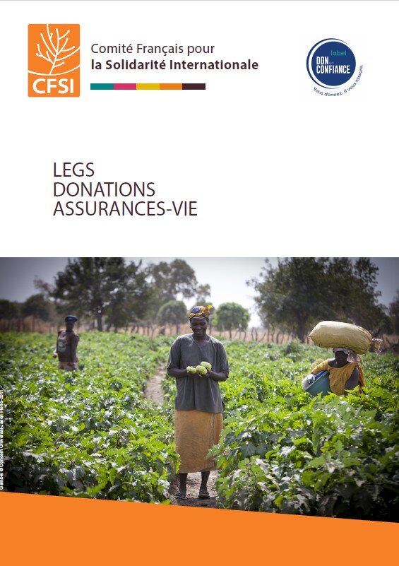 Brochure CFSI