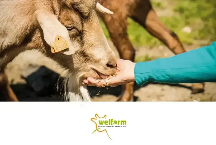 welfarm_home_photo_logo