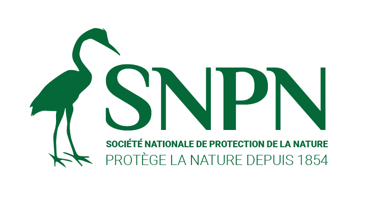 Logo 1