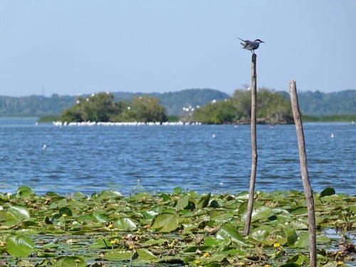 Photo 2-2