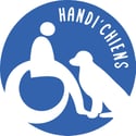 cropped-Handichiens-Logo-Couleur-7Septembre2022 copie